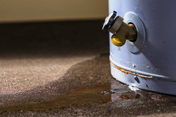 Best Commercial water damage restoration  in Trappe, MD