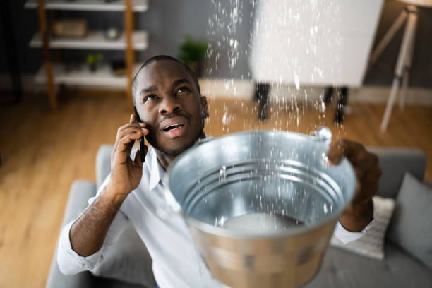 Best Water damage mitigation services  in Trappe, MD