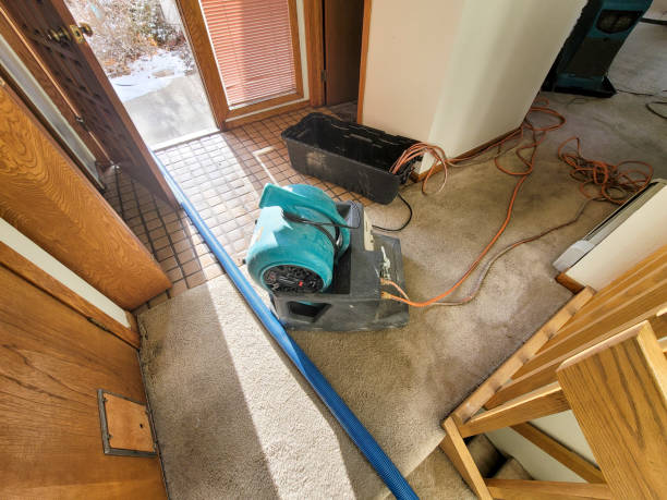 Best Ceiling water damage repair  in Trappe, MD