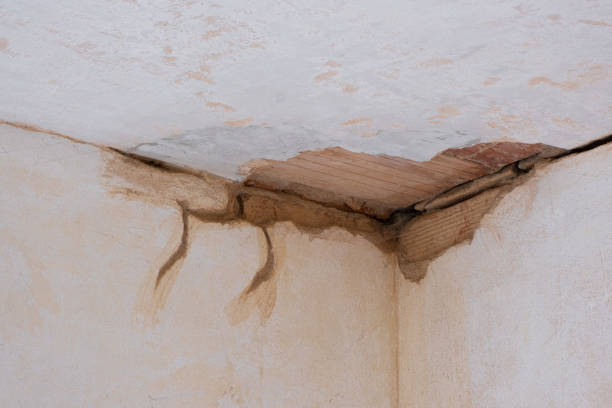 Best Flooded house restoration  in Trappe, MD