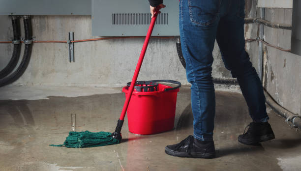 Best Mold removal after water damage  in Trappe, MD