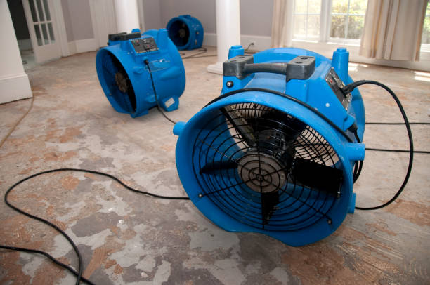 Best Water damage contractors near me  in Trappe, MD