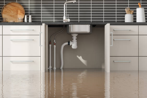 Best Water damage restoration insurance claims  in Trappe, MD